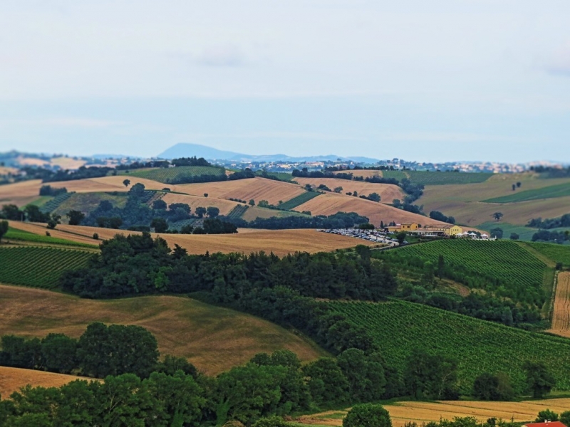 Marche terra del benessere, istituita la Rete regionale