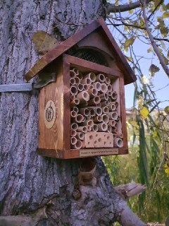 Bee Hotel