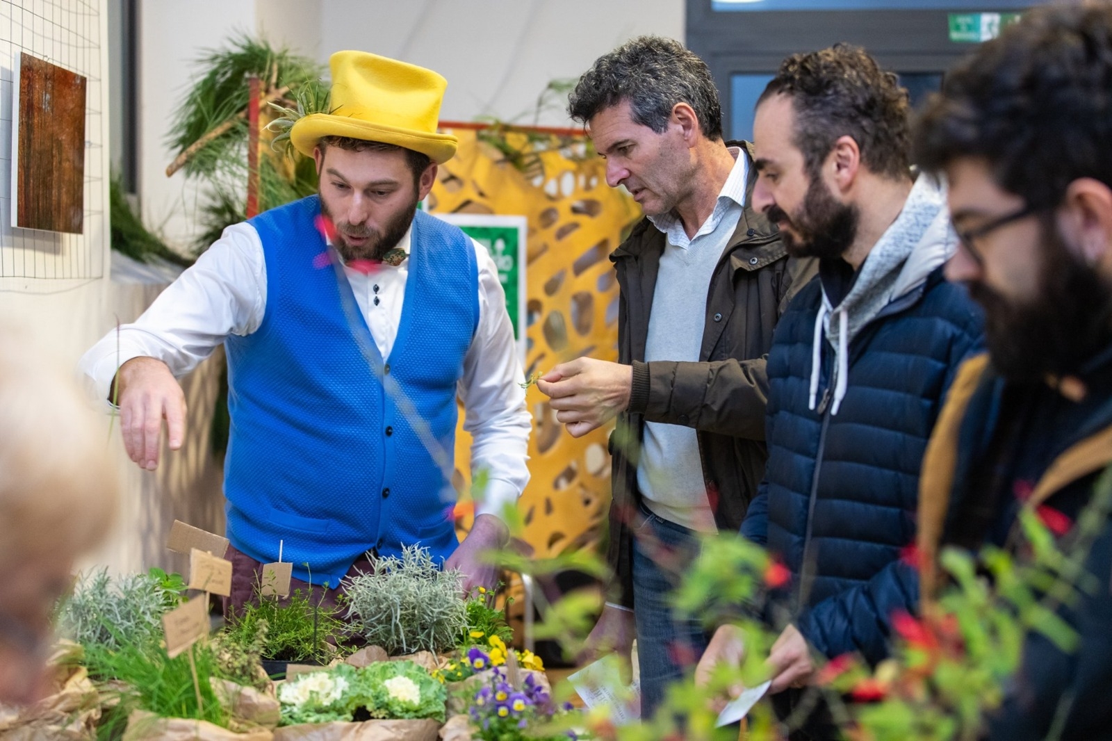 Una passata edizione del Festival dell'Albero